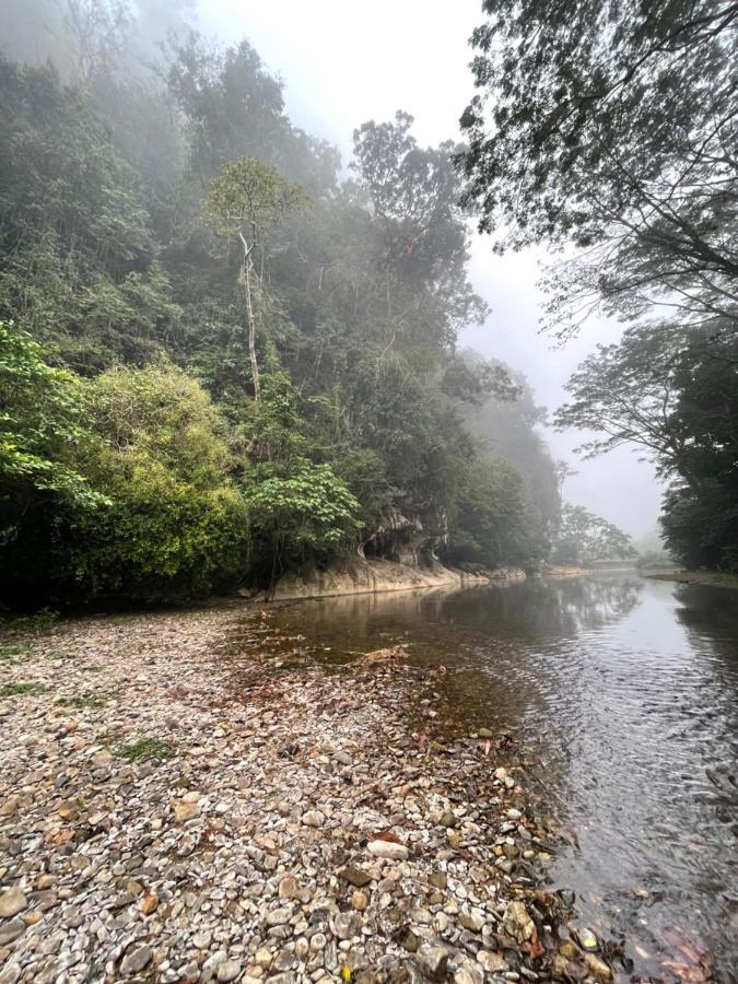 Khaosok Monkeys & River Camps Khao Sok National Park Εξωτερικό φωτογραφία