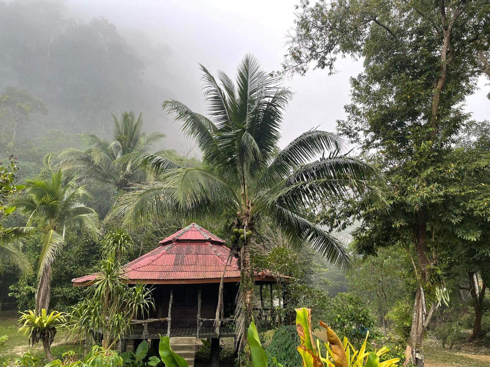 Khaosok Monkeys & River Camps Khao Sok National Park Εξωτερικό φωτογραφία