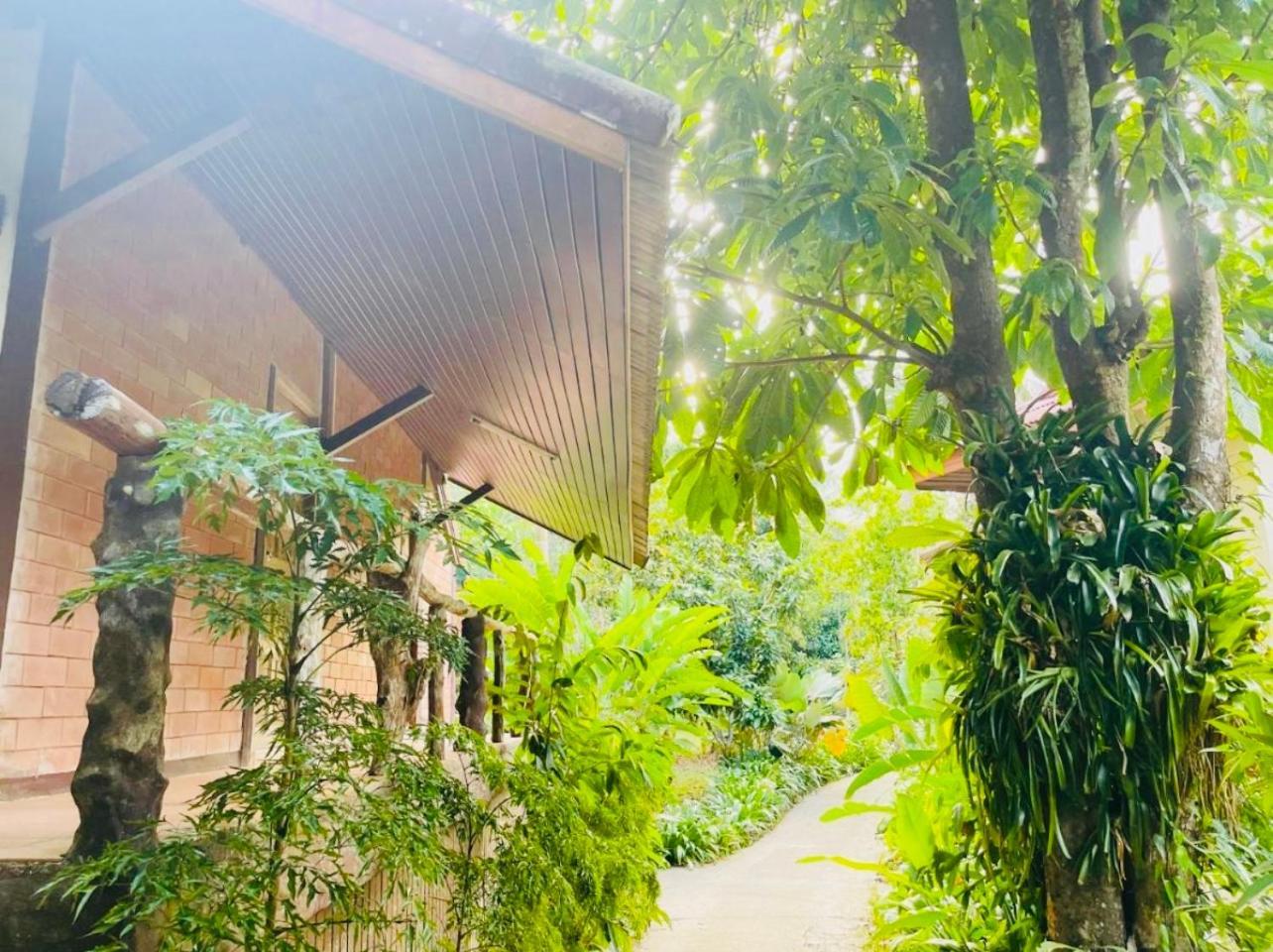 Khaosok Monkeys & River Camps Khao Sok National Park Εξωτερικό φωτογραφία